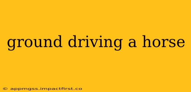ground driving a horse