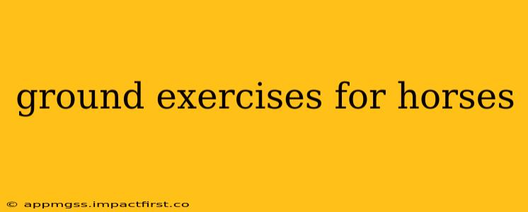 ground exercises for horses