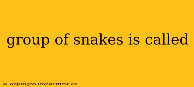 group of snakes is called