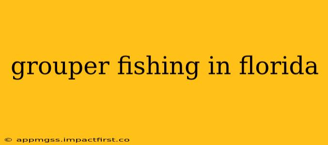 grouper fishing in florida