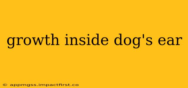growth inside dog's ear