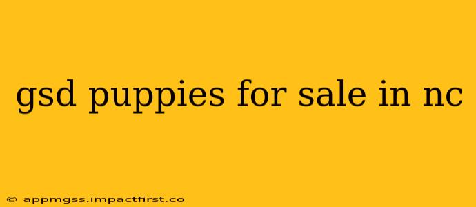 gsd puppies for sale in nc