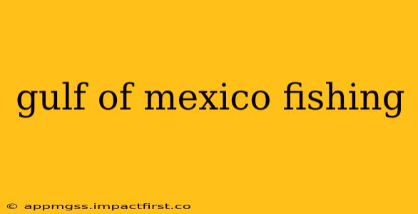 gulf of mexico fishing