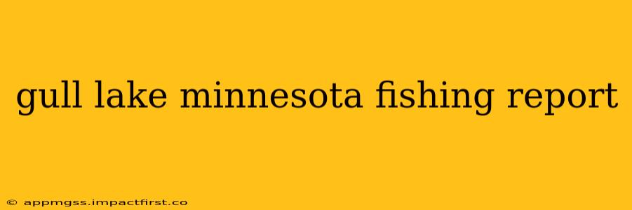 gull lake minnesota fishing report