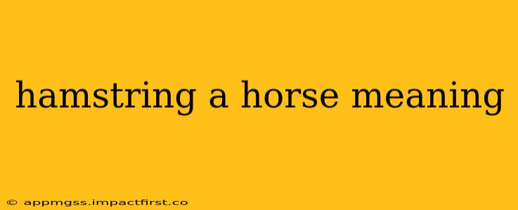 hamstring a horse meaning