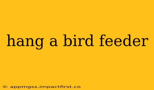 hang a bird feeder
