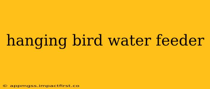 hanging bird water feeder