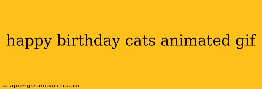 happy birthday cats animated gif