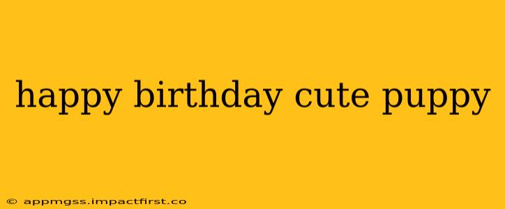 happy birthday cute puppy