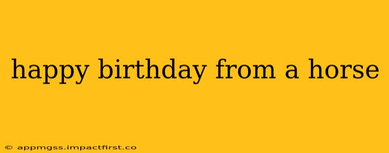 happy birthday from a horse