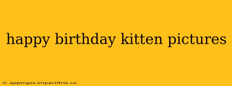 happy birthday kitten pictures