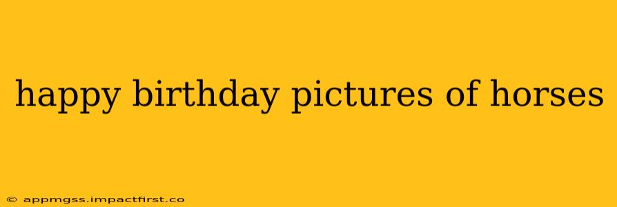 happy birthday pictures of horses