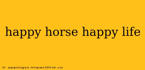 happy horse happy life
