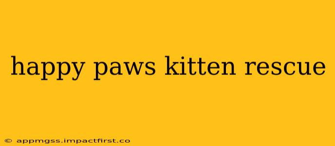happy paws kitten rescue