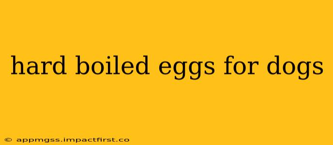 hard boiled eggs for dogs