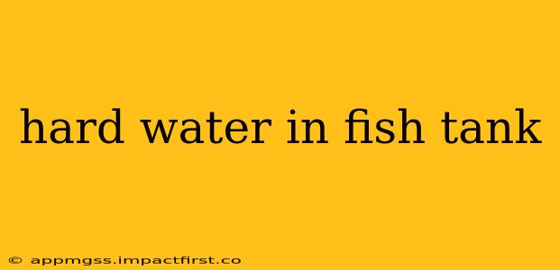 hard water in fish tank