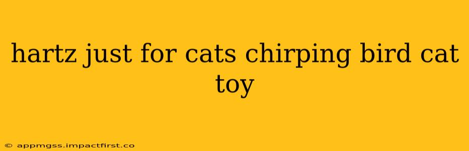 hartz just for cats chirping bird cat toy