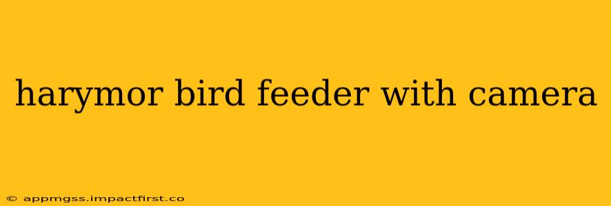 harymor bird feeder with camera