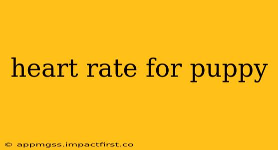 heart rate for puppy