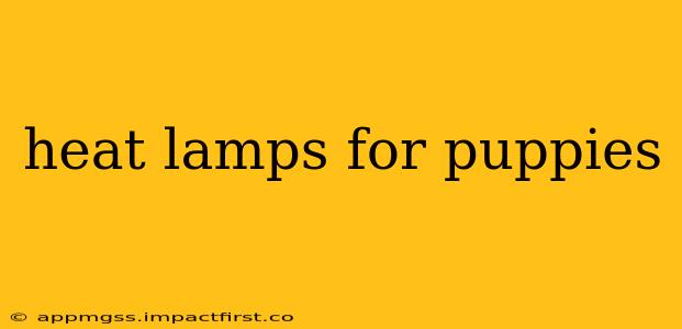 heat lamps for puppies