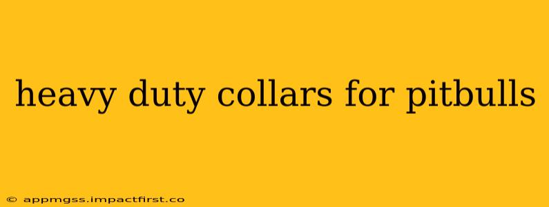 heavy duty collars for pitbulls