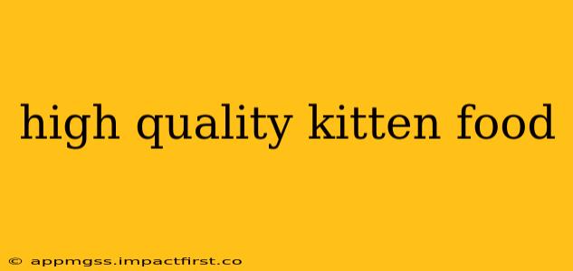 high quality kitten food