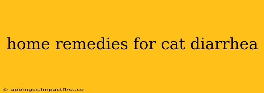 home remedies for cat diarrhea