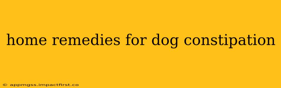 home remedies for dog constipation