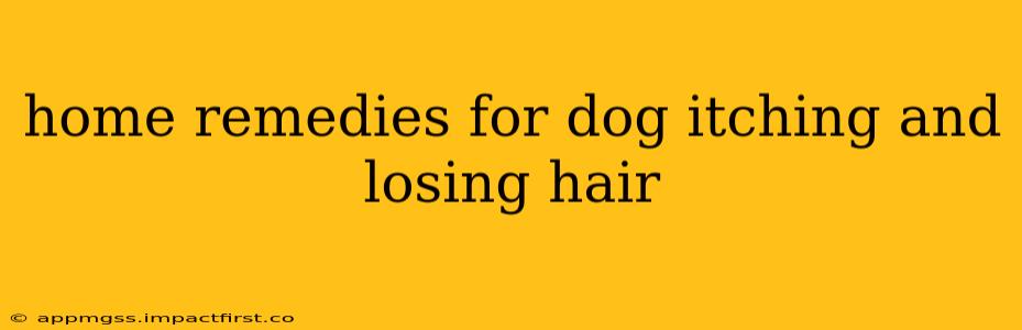 home remedies for dog itching and losing hair