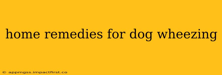 home remedies for dog wheezing