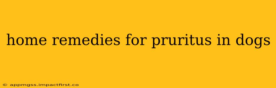 home remedies for pruritus in dogs