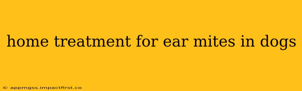 home treatment for ear mites in dogs