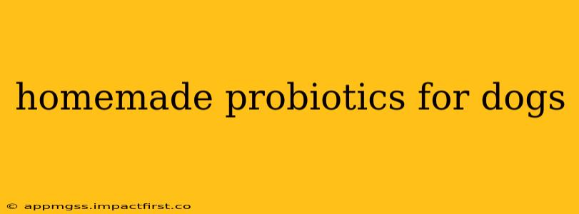 homemade probiotics for dogs