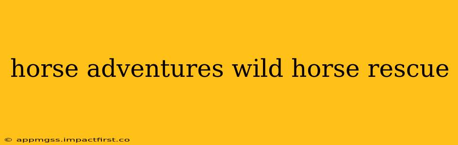 horse adventures wild horse rescue