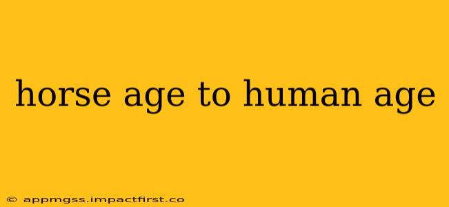 horse age to human age