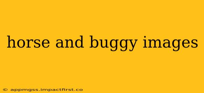 horse and buggy images