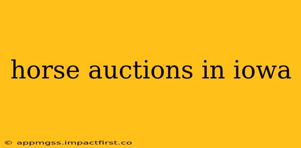 horse auctions in iowa