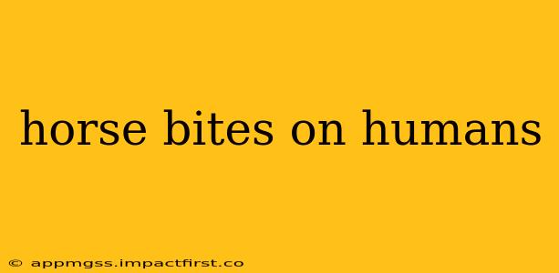 horse bites on humans
