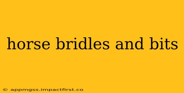 horse bridles and bits