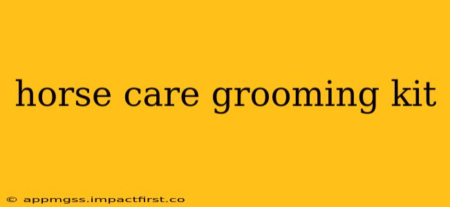 horse care grooming kit