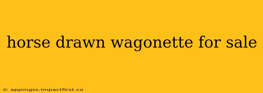 horse drawn wagonette for sale