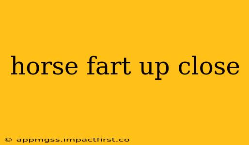 horse fart up close