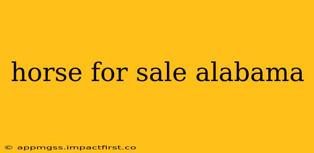 horse for sale alabama