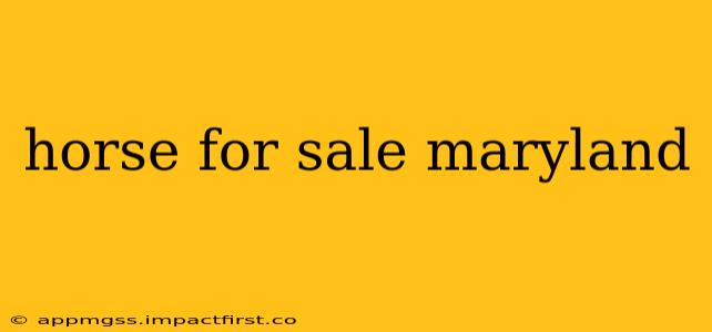 horse for sale maryland
