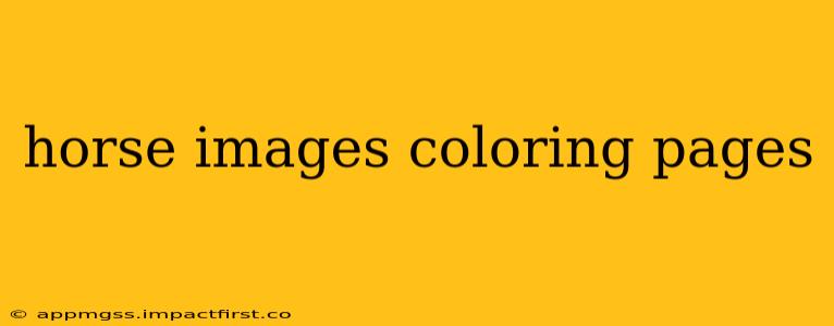 horse images coloring pages
