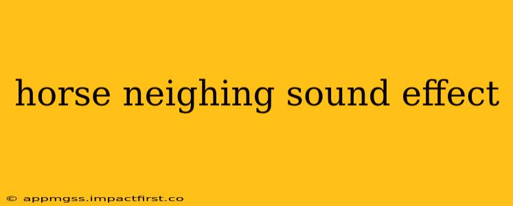 horse neighing sound effect