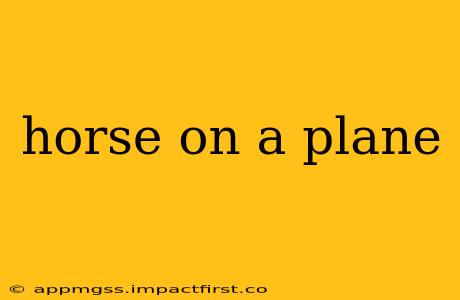 horse on a plane