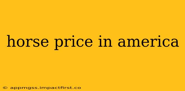 horse price in america