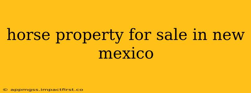 horse property for sale in new mexico