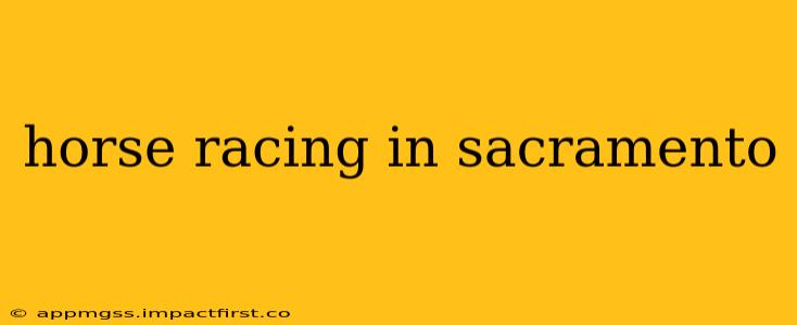 horse racing in sacramento